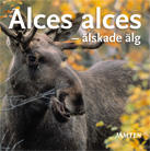 Alces alces : älskade älg