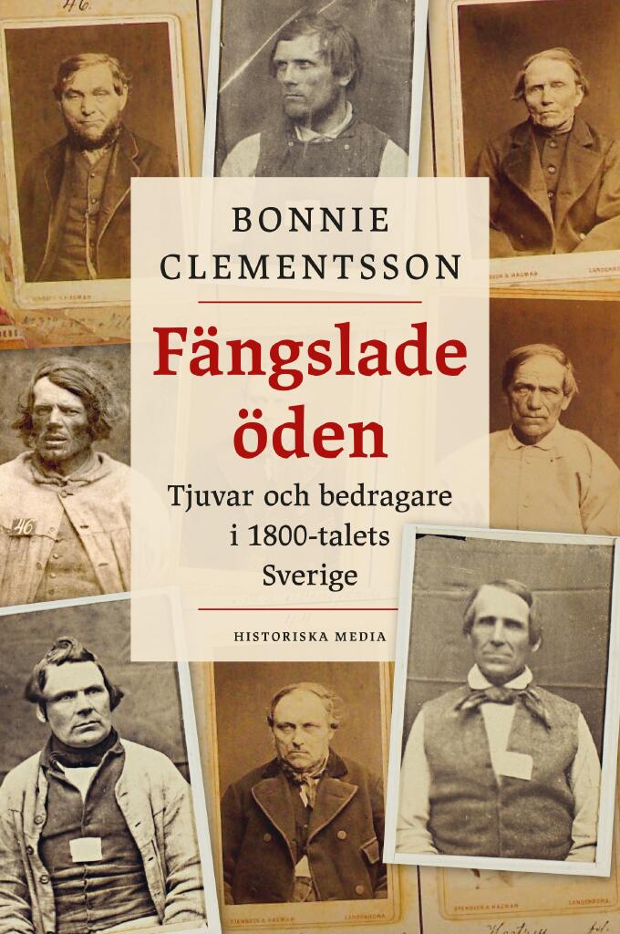 F&auml;ngslade &ouml;den : tjuvar och bedragare i 1800-talets Sverige