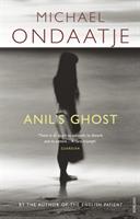 Anil's ghost