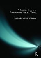 A practical reader in contemporary literary theory