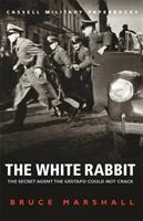 The white rabbit : [the secret agent the Gestapo could not crack]