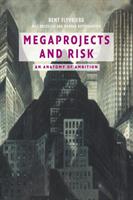 Megaprojects and risk : an anatomy of ambition