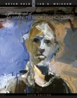 Fundamentals of human neuropsychology
