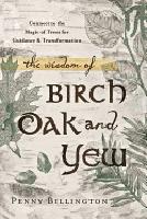 Wisdom of birch, oak, and yew - connect to the magic of trees for guidance