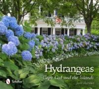 Hydrangeas : Cape Cod and the Islands