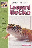 Leopard Geckos