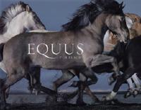 Equus