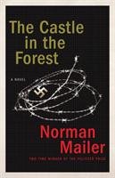 Castle in the forest - a novel