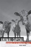 Animal capital : rendering life in biopolitical times