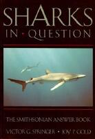 Sharks In Question