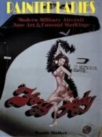 Painted ladies - modern military aircraft nose art and unusual markings