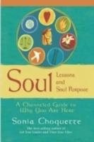 Soul lessons and soul purpose - a channelled guide to why you are here