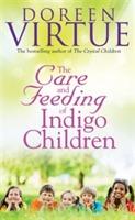 Care & Feeding of Indigo Children