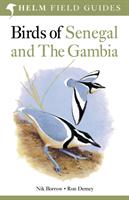 Birds of senegal and the gambia