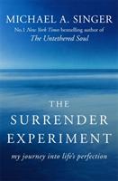 Surrender experiment - my journey into lifes perfection