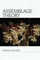 Assemblage theory