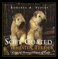 The Soft Coated Wheaten Terrier: Coat of Honey Heart of Gold