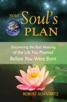 Your soul's plan