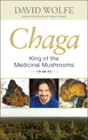 Chaga : king of the medicinal mushrooms