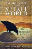 Awakening to the spirit world - the shamanic path of direct revelation