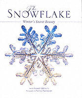 Snowflake - winters secret beauty