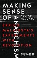 Making sense of anarchism : Errico Malatesta's experiments with revolution, 1889-1900