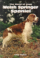 Welsh springer spaniel