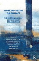 Working below the surface : the emotional life of contemporary organizations