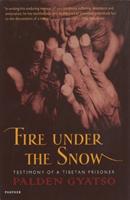 Fire under the snow