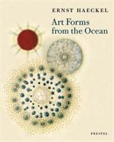 Art forms from the ocean : the radiolarian atlas of 1862