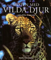 Möten med vilda djur