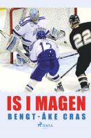 Is i magen
