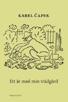 Ett &aring;r med min tr&auml;dg&aring;rd