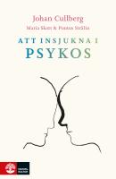 Att insjukna i psykos : förlopp, behandling, återhämtning