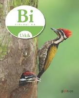 Utkik 4-6 Biologi