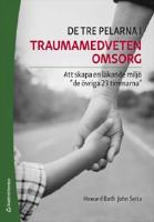 De tre pelarna i traumamedveten omsorg - Att skapa en l&auml;kande milj&ouml; "de &ouml;vriga 23 timmarna"
