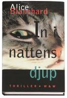 In i nattens djup