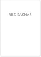 Tillitsbaserat ledarskap – handbok för chefer och medarbetare