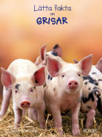 L&auml;tta fakta om grisar