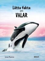 L&auml;tta fakta om valar