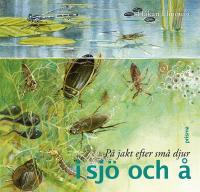 P&aring; jakt efter sm&aring; djur i sj&ouml; och &aring;