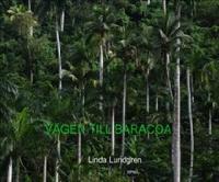 V&auml;gen till Baracoa