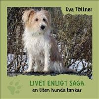 Livet enligt Saga : en liten hunds tankar