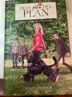 Fr&aring;n plan till plan