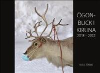 &Ouml;gonblick i Kiruna 2018-2022