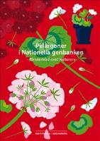 Pelargoner i Nationella genbanken - f&ouml;nstertr&auml;d med kulturarv