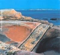 Sk&auml;rg&aring;rdsvinge