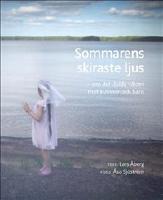 Sommarens skiraste ljus - om det dolda v&aring;ldet mot kvinnor och barn