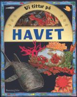 Vi tittar p&aring; havet
