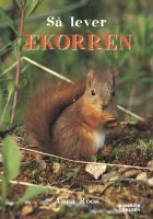 S&aring; lever ekorren